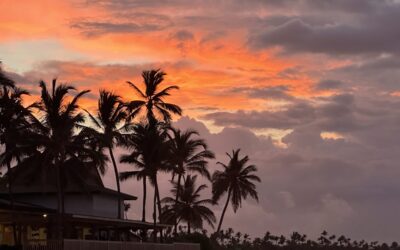 Letting Go Of Survivor’s Guilt